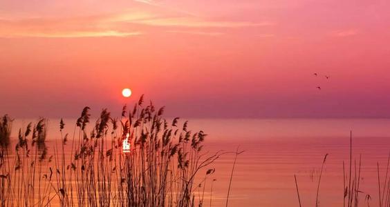 我心中的夕阳