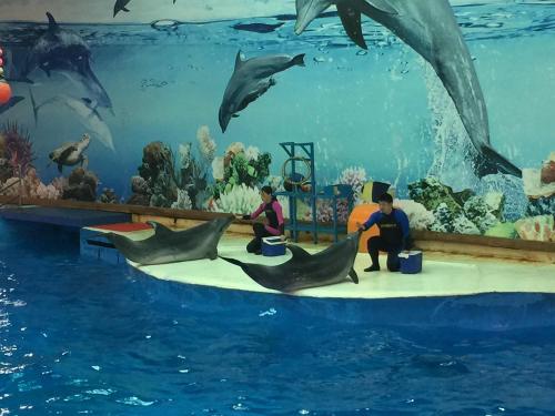 在水族馆玩