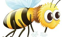 蜜蜂风波