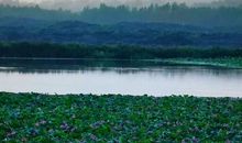 一道独特的风景线