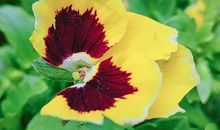 那一瞬间定格了