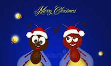 我发现了萤火虫的秘密