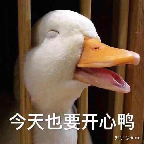 周围聪明的人