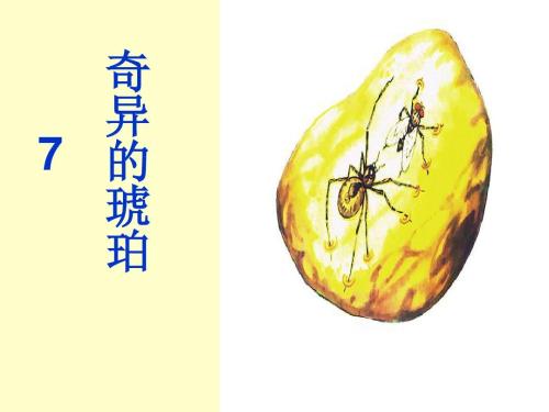奇怪的琥珀色适应