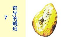 奇异的琥珀改编