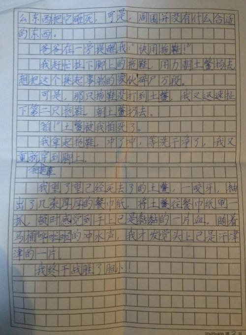这次我终于战胜了粗心大意