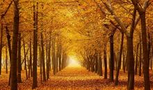 探索自然的滋味