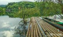 家乡的茶香小镇