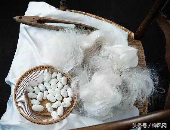 咬骄傲的茧