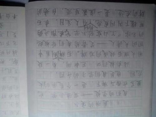 我懂什么作文400字