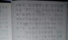 我懂的了什么作文400字