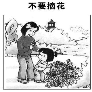 不要摘花，看图片并写100个字
