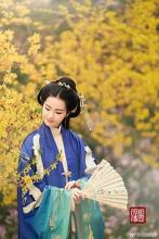 春天路外的鲜花，草丛从未被遮盖