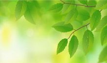 假如阳光是绿色的