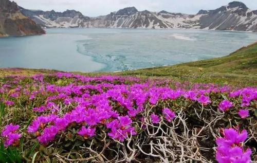 旅行前一天