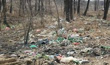 环境污染问题研究报告