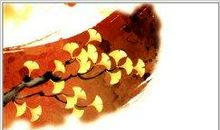 阅读与写作同时起步