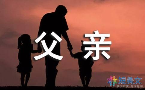 关于阅读《奇迹的名字是父亲》的思考