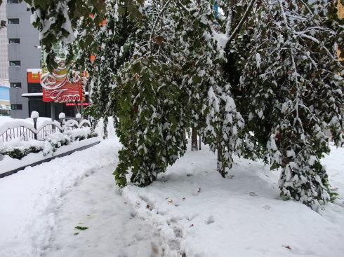 难忘的雪