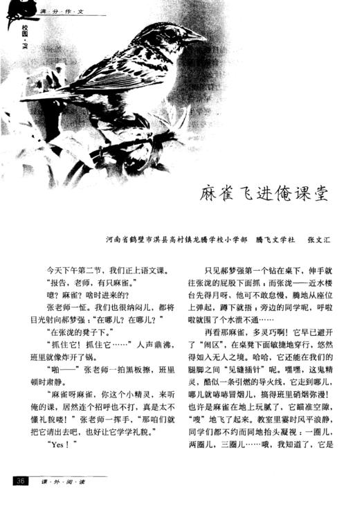 麻雀飞进教室