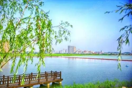 我的小公园