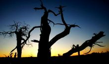 生命因拥有信念而精彩