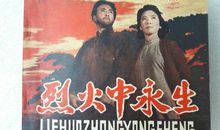 烈火中永生观后感