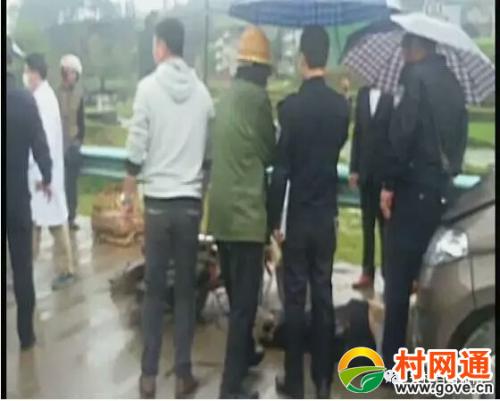 雨中回暖