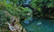 大自然中的发现