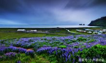 鱼缸的美景让我沉醉