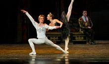 我学会了天鹅舞