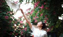 青青路上的阳光