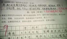 描写初夏景色的作文