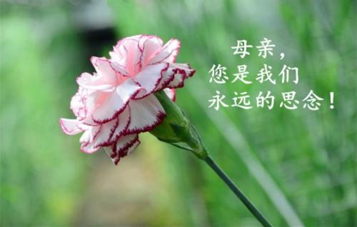母爱