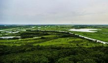 留只耳朵听风声