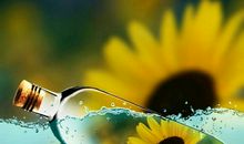 尊重是一束阳光