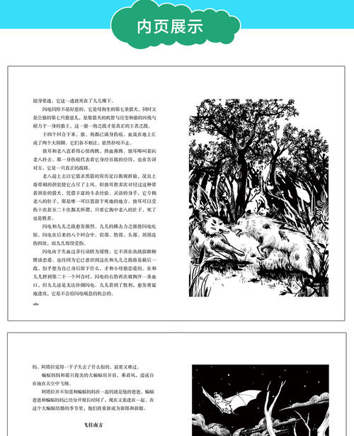 狼兄弟和狼兄弟