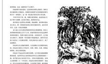 狼兄狼弟读后感