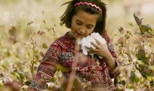 给喜鹊爷爷奶奶的一封信