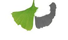 共同保护我们的生命之泉