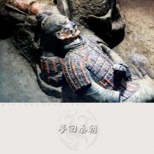 梦回秦朝