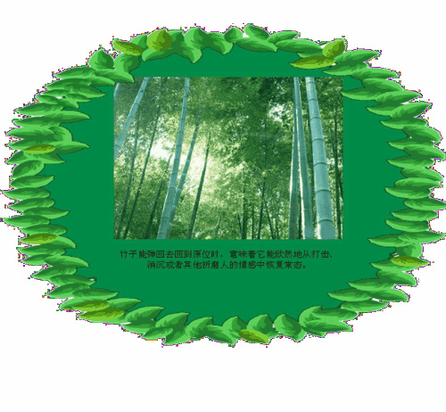 竹子的灵感
