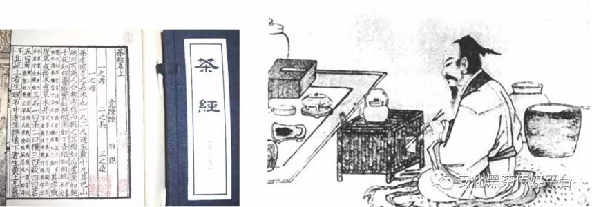 茶游
