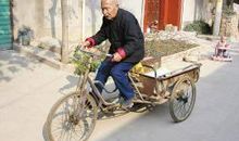 帮老爷爷推车看图说话