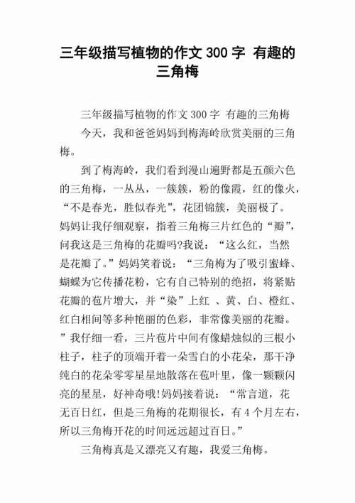 什么是有趣的构图300个单词