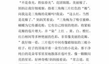 有趣的什么作文300字