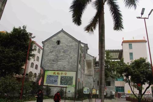 丰东公园的大榕树