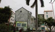 凤东公园里的大榕树