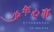 少年心事读后感