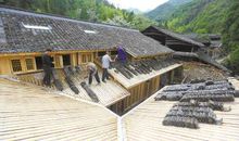 让汉语焕发活力